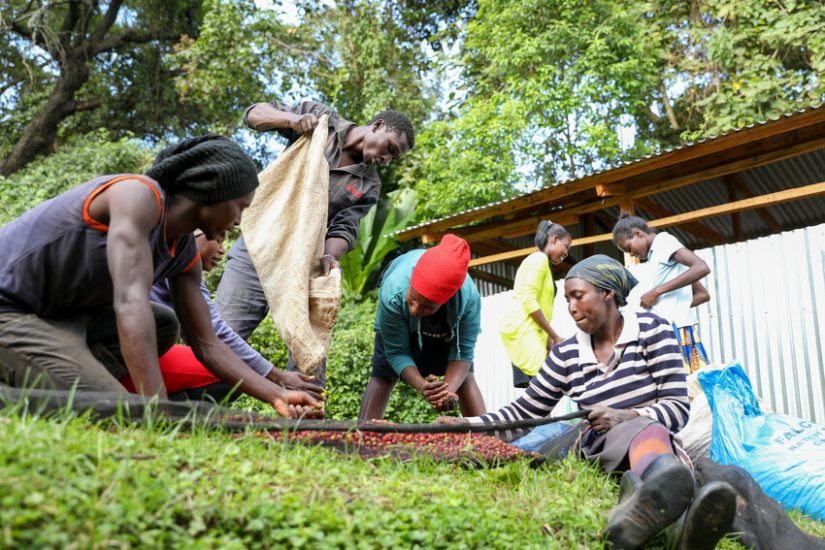 Fairtrade, crescono gli acquisti in Italia