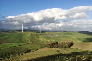 “Un'ape da sola non è un'ape”