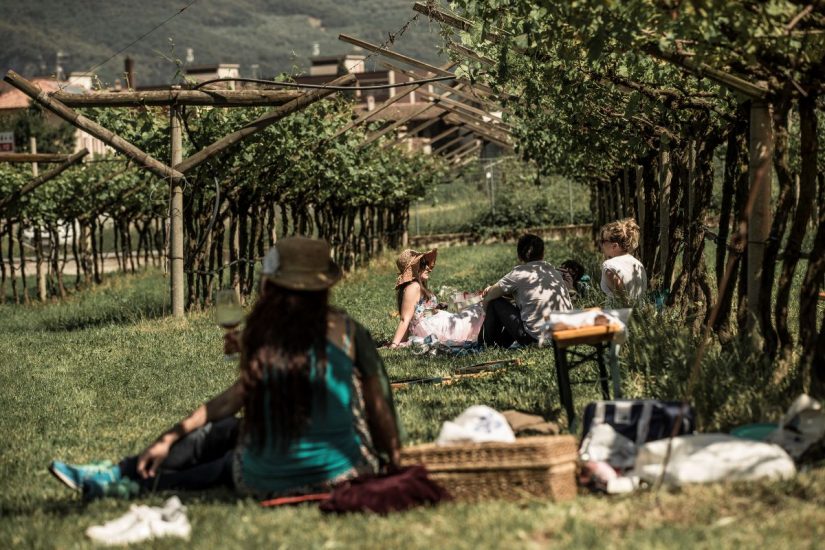 “Gemme di gusto” nella Strada del Vino e dei Sapori del Trentino