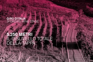 Tra grande ciclismo e racconto del territorio al mondo, la “Sforzato Wine Stage” del Giro d’Italia