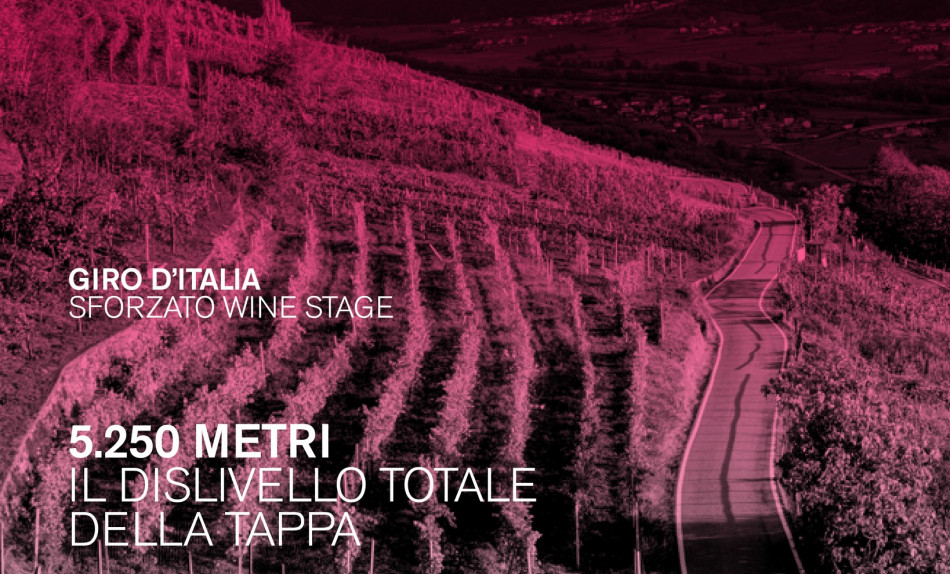 In mezzo ai vigneti della Valtellina lo spettacolo della “Sforzato Wine Stage”