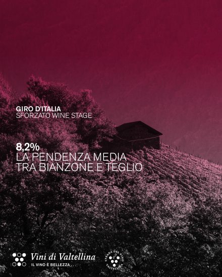 In mezzo ai vigneti della Valtellina lo spettacolo della “Sforzato Wine Stage”