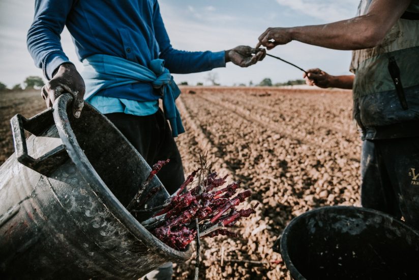 Tenuta Liliana, share company che apre all’azionariato popolare