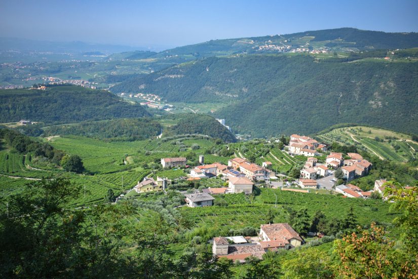 I vigneti della Valpantena