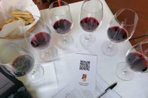 “Il tempo è galantuomo” nel rivelare un territorio e il suo vino: la Romagna e le sue nuove annate