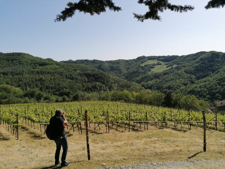 Vini Ad Arte 2022 - Vigna di Sangiovese, Romagna sottozona Modigliana