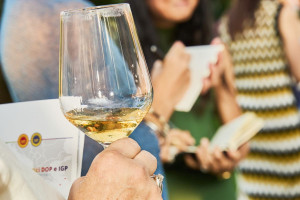 Da “Vini ad Arte” ai “Roero Days”, dal Sagrantino a “Taste Alto Piemonte”, tornano le Anteprime Da “Vini ad Arte” ai “Roero Days”, dal Sagrantino a “Taste Alto Piemonte”, tornano le Anteprime