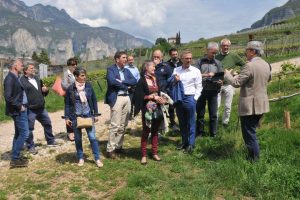 Una sinergia tra Fondazione Edmund Mach e Istituto delle Scienze della Vite e del Vino di Bordeaux