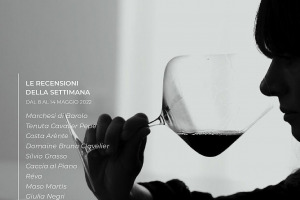 I Vini di WineNews - N. 205