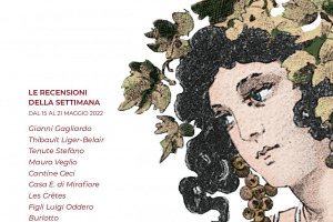 I Vini di WineNews - N. 206