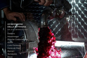 I Vini di WineNews - N. 207