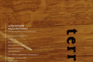 I Vini di WineNews - N. 208