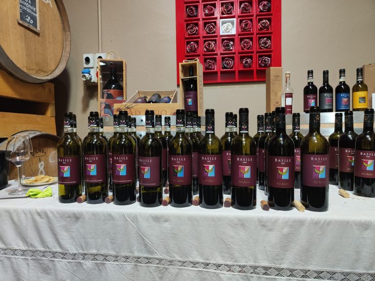  Il progetto “Petrosinella. Una storia di famiglia” di Basile