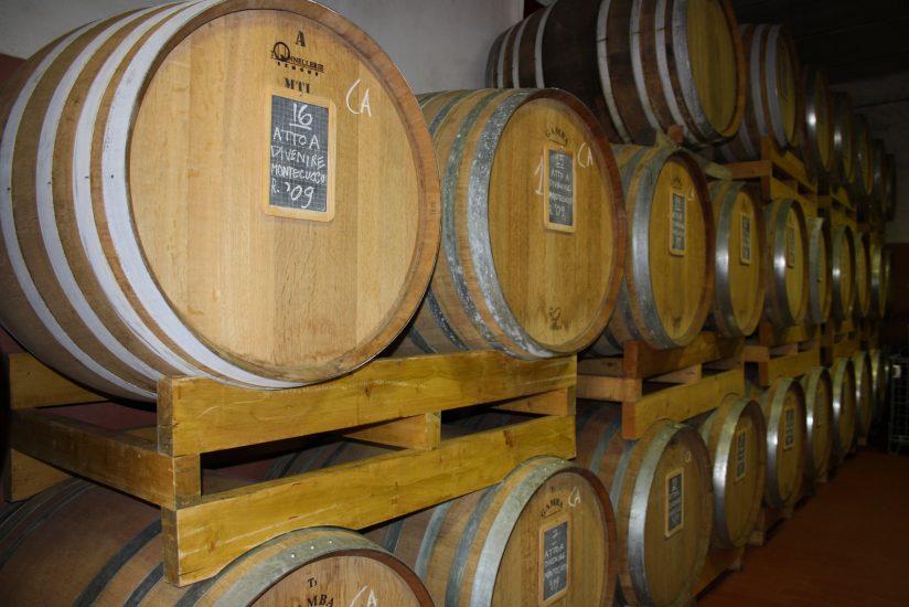 La bottaia di Cantina Basile