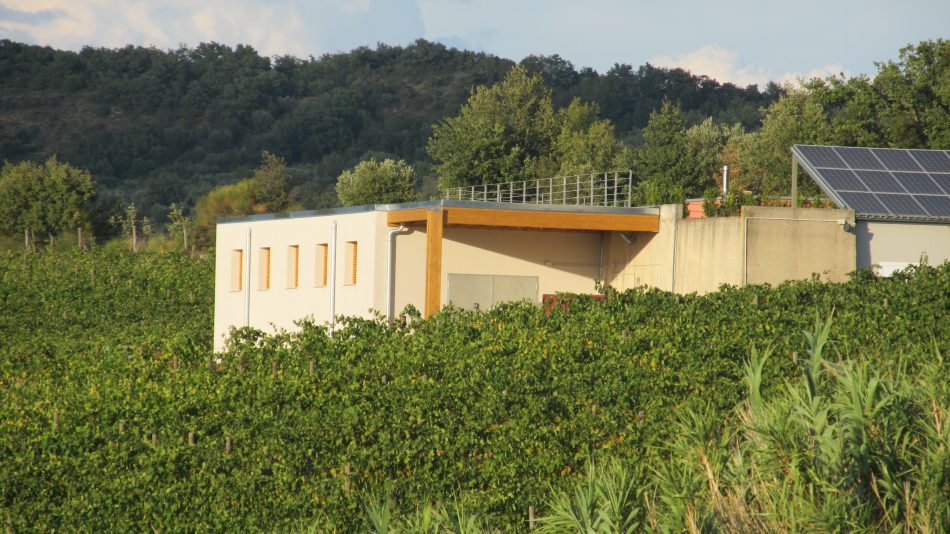 Cantina Basile, a Cinigiano