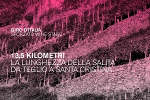 Lo spettacolo della “Sforzato Wine Stage”, in mezzo ai vigneti della Valtellina