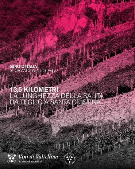 In mezzo ai vigneti della Valtellina lo spettacolo della “Sforzato Wine Stage”