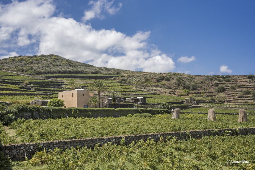 Donnafugata: ecco il “Cammino di Khamma”, a Pantelleria