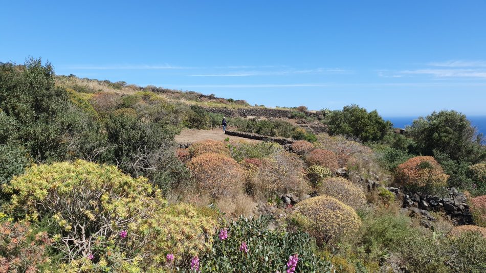 Donnafugata: ecco il “Cammino di Khamma”, a Pantelleria