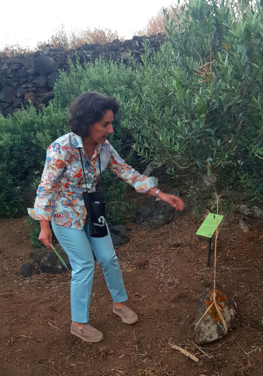 Donnafugata: ecco il “Cammino di Khamma”, a Pantelleria