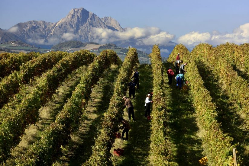 L’Abruzzo del vino, terra in cui il vino è poesia