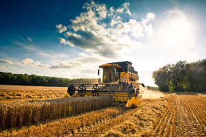 Sempre di meno, più grandi, ma ancora familiari: le imprese agricole italiane, secondo l’Istat Sempre di meno, più grandi, ma ancora familiari: le imprese agricole italiane, secondo l’Istat