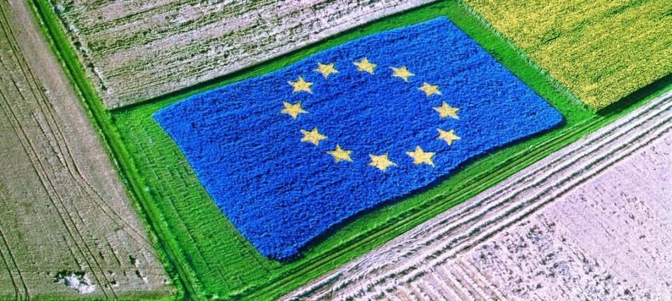 Le Ig europee valgono 80 miliardi di euro