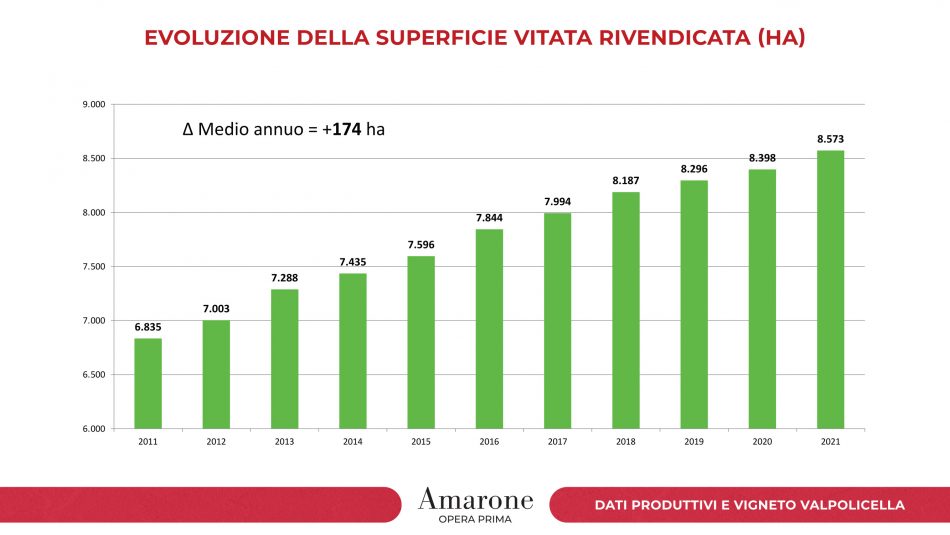 I numeri dei vigneti e della produzione di Amarone della Valpolicella