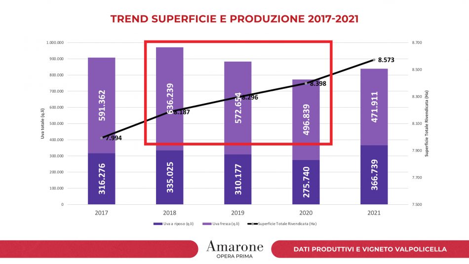 I numeri dei vigneti e della produzione di Amarone della Valpolicella
