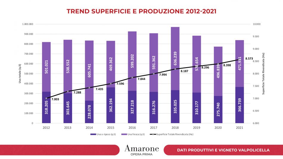 I numeri dei vigneti e della produzione di Amarone della Valpolicella