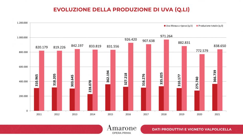 I numeri dei vigneti e della produzione di Amarone della Valpolicella