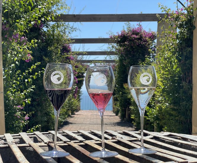 L’Abruzzo del vino, terra in cui il vino è poesia