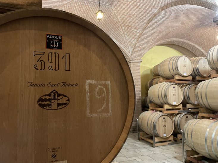 La cantina di Tenuta Sant’Antonio, una delle 13 Famiglie Storiche