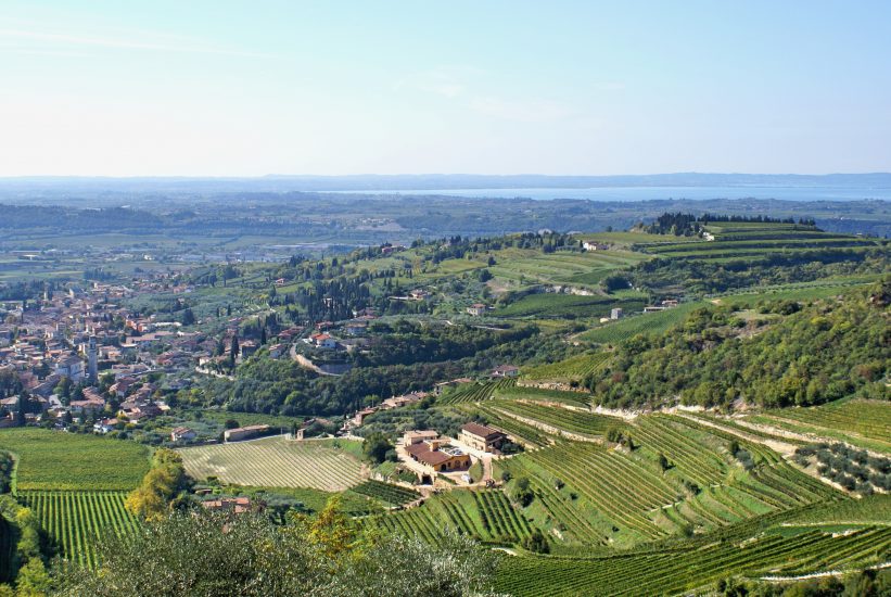 I vigneti della Valpolicella
