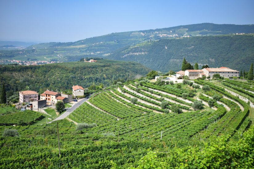 I vigneti della Valpolicella