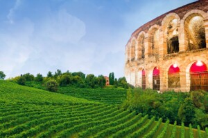 Il calo dell&rsquo;export di vino colpisce non solo le cantine, ma tutto un territorio: il &ldquo;caso Verona&rdquo;