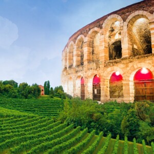 Il calo dell&rsquo;export di vino colpisce non solo le cantine, ma tutto un territorio: il &ldquo;caso Verona&rdquo;