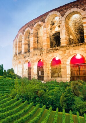 Il calo dell&rsquo;export di vino colpisce non solo le cantine, ma tutto un territorio: il &ldquo;caso Verona&rdquo;