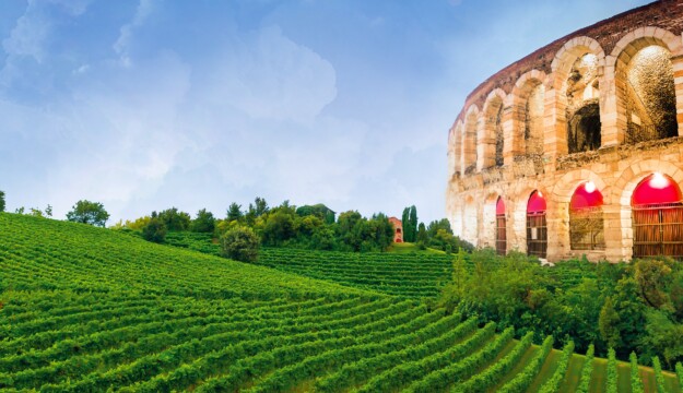 Il calo dell&rsquo;export di vino colpisce non solo le cantine, ma tutto un territorio: il &ldquo;caso Verona&rdquo;