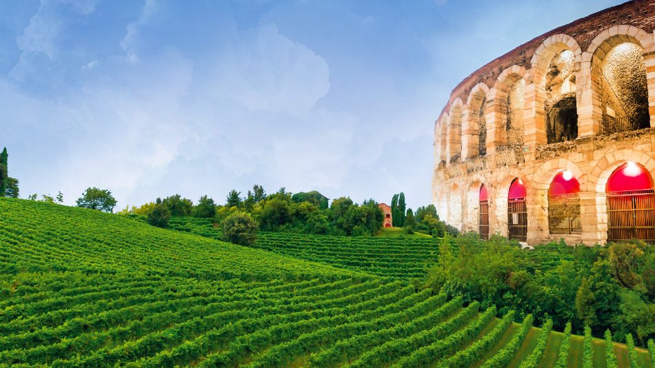 A Verona il vigneto urbano più grande d’Italia (fotomontaggio Assoenologi)