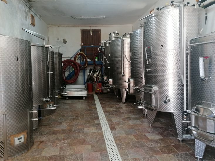 Gorgona - Cantina, sala di vinificazione