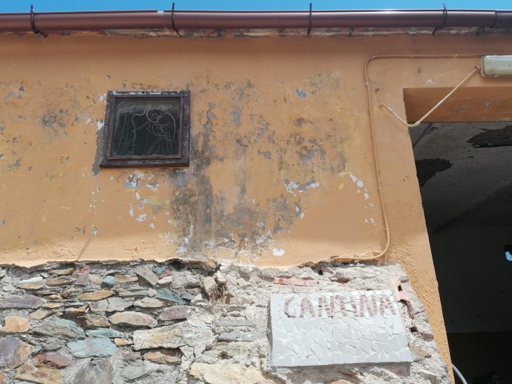 Gorgona - mosaico della cantina