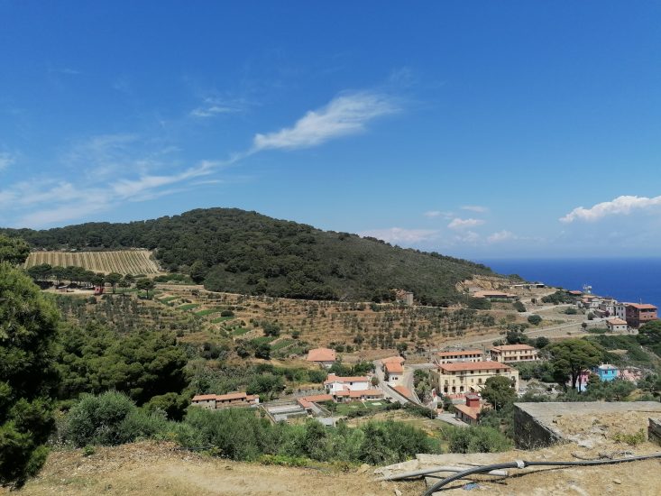 Gorgona - panoramica vigne e paese