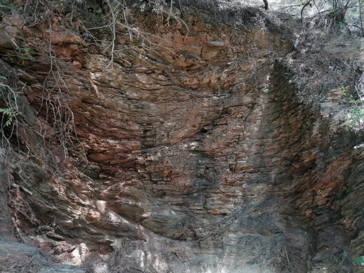 Gorgona - roccia vulcanica metamorfica