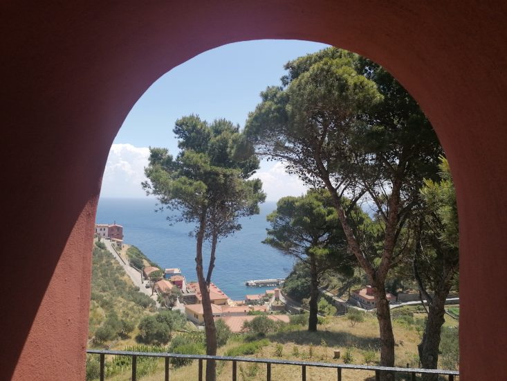 Gorgona - dalla torre vista sul porto