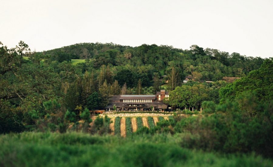 Lvmh investe in California: acquisita Joseph Phelps Vineyard