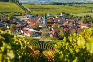 Le Langhe del Barolo e del Tartufo Bianco d’Alba fanno visita alla Champagne Le Langhe del Barolo e del Tartufo Bianco d’Alba fanno visita alla Champagne