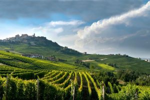 Districts are doing better economically. Langhe, Roero and Monferrato are at the top for wines Districts are doing better economically. Langhe, Roero and Monferrato are at the top for wines