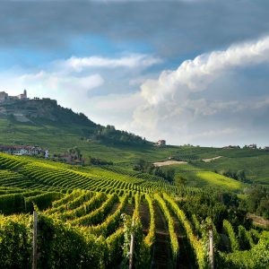 Districts are doing better economically. Langhe, Roero and Monferrato are at the top for wines
