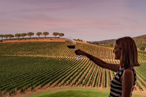 Dalle colline del Prosecco Docg al Chianti Classico, è iniziata l’estate nei territori del vino